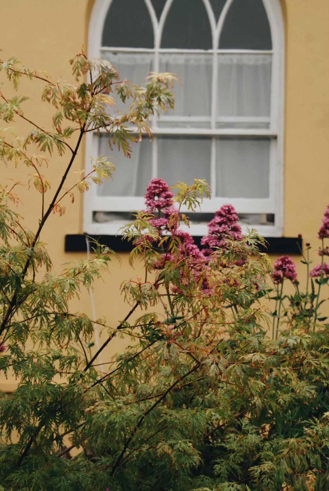 Ranscombe House Bed & Breakfast Brixham Exterior foto